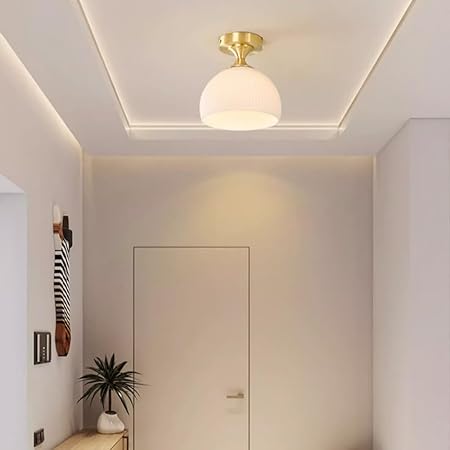 Modern Ceiling Lamp Glass | LumiMilk