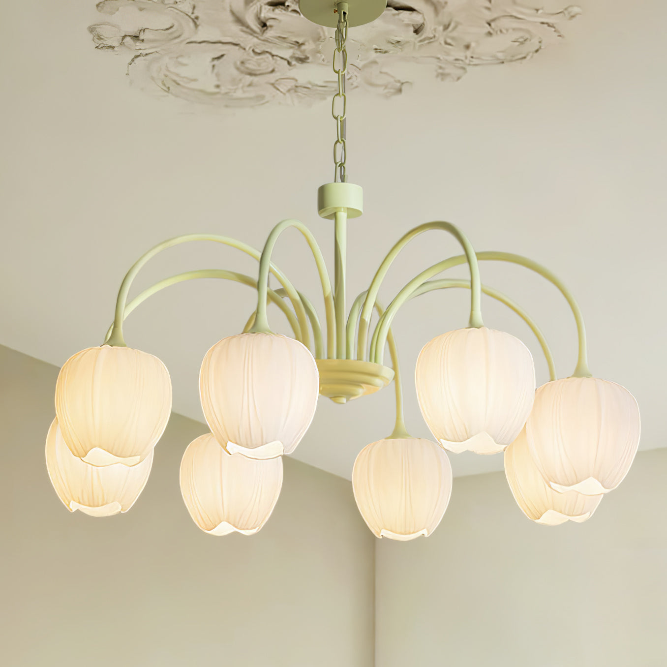 Tulip Matcha Chandelier | TulipGlance