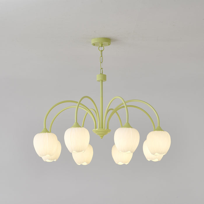 Tulip Matcha Chandelier | TulipGlance