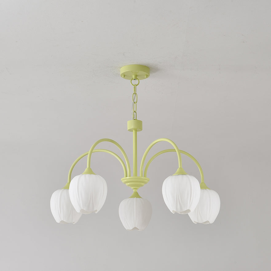 Tulip Matcha Chandelier | TulipGlance