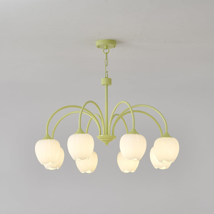 Tulip Matcha Chandelier | TulipGlance