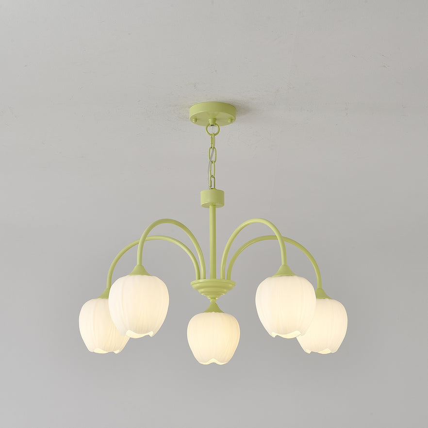 Tulip Matcha Chandelier | TulipGlance