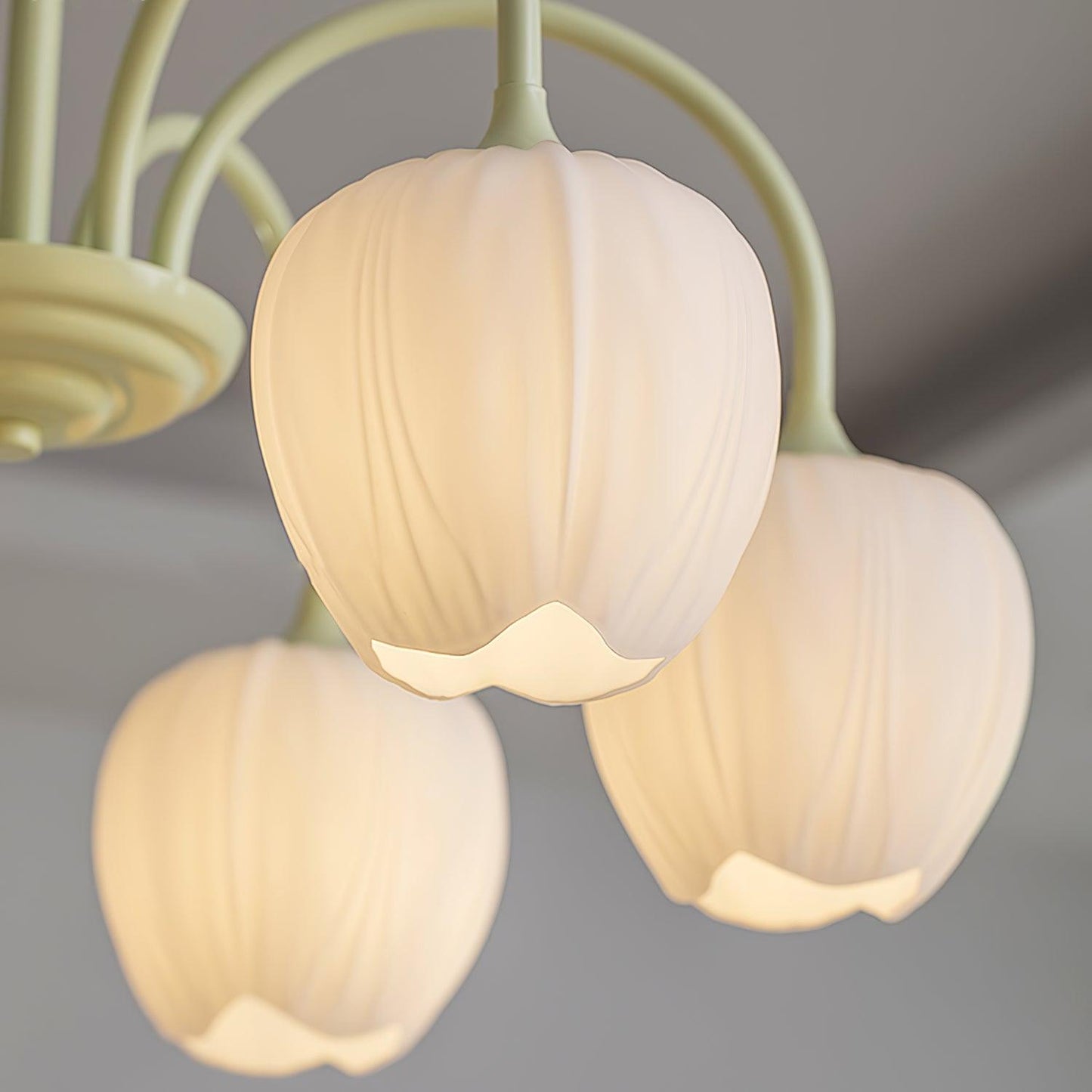 Tulip Matcha Chandelier | TulipGlance