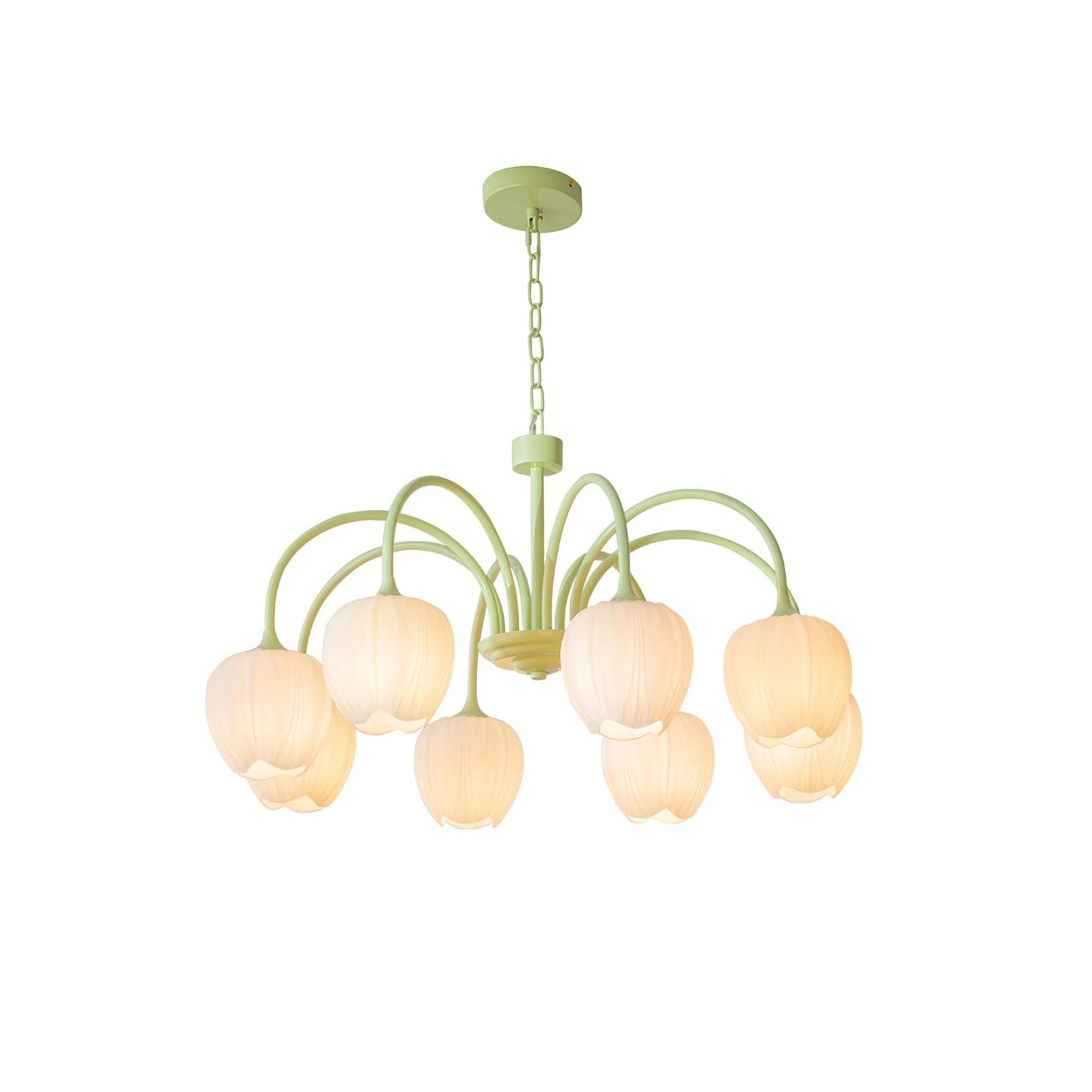 Tulip Matcha Chandelier | TulipGlance