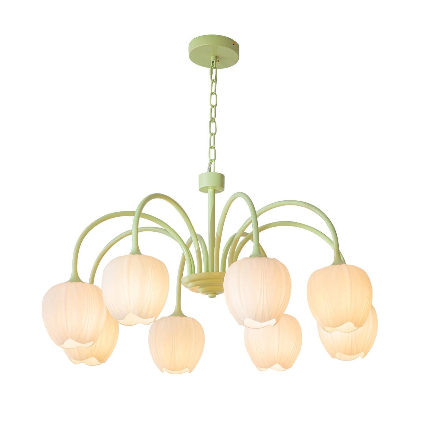 Tulip Matcha Chandelier | TulipGlance